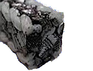 Graphite Packing with PTFE Corners
