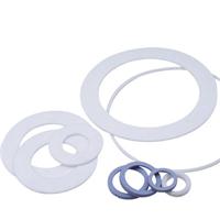 PTFE Gasket